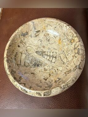 A Bug Fossil Agate Hand-Carved Coral Fossil Stone 5” Bowl, Grounding Crystal